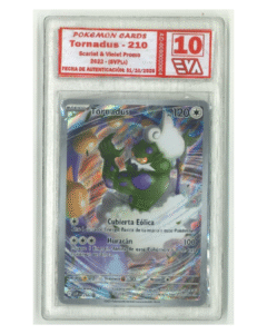 diseño sin título (2)